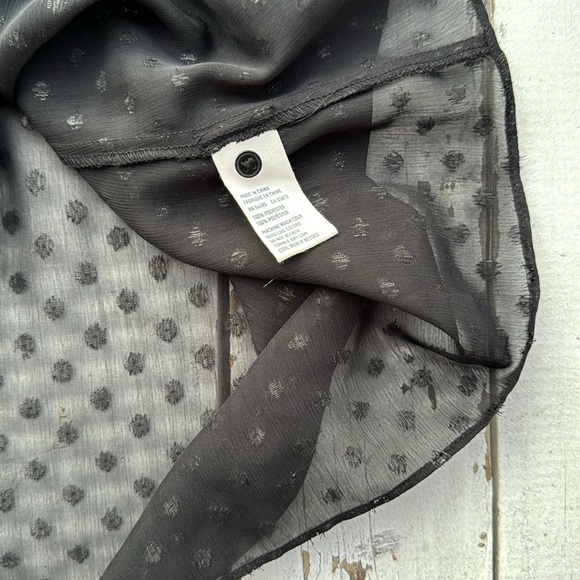 American Eagle Outfitters Sheer Polka Dot Dress - Picture 7 of 7